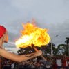 Comparsas Feria para Todos